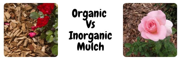 Organic  Vs Inorganic Mulch