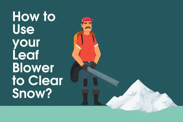 Use your Leaf Blower to Clear Snow