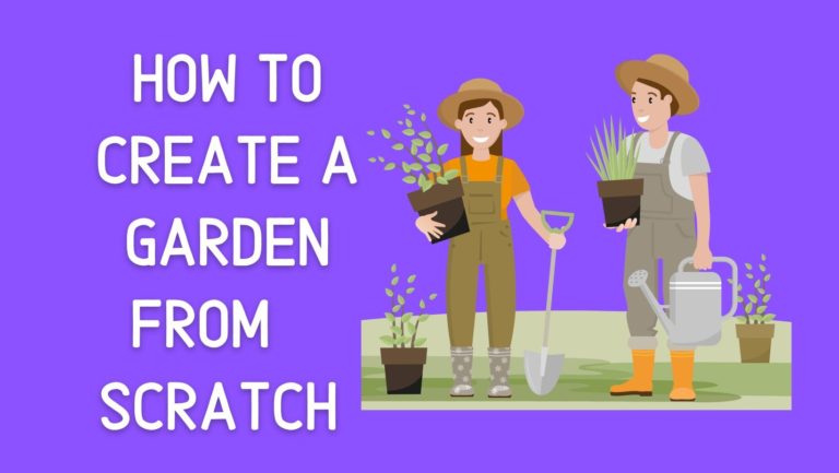 How To Create A Garden From Scratch In 2022