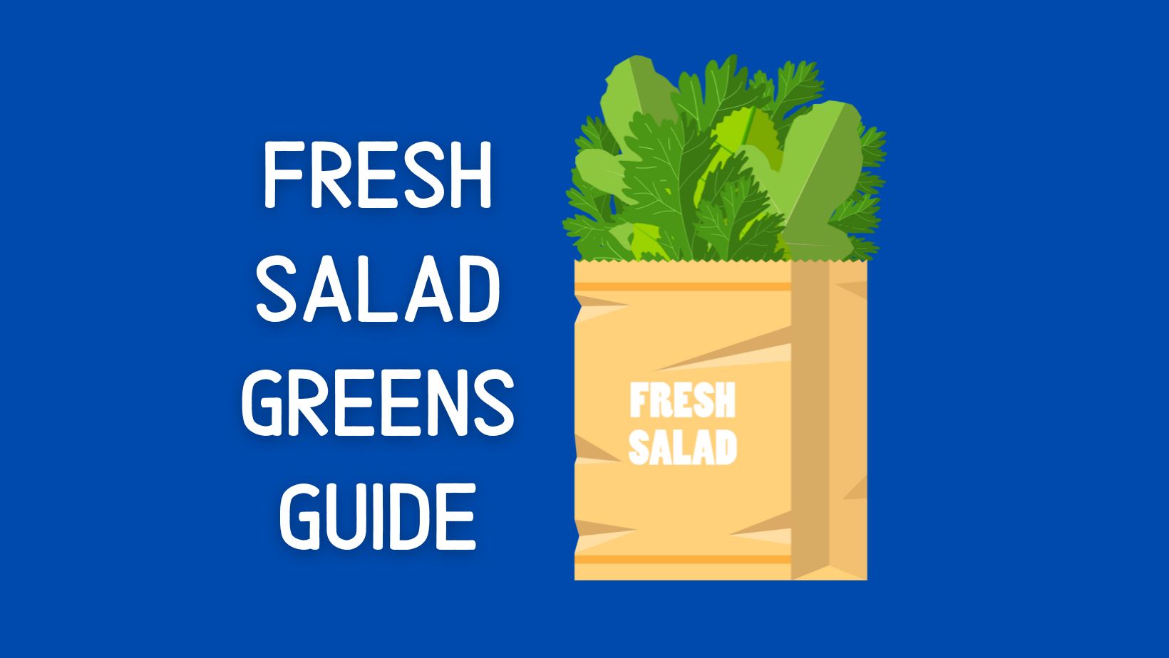 Fresh Salad Greens Guide
