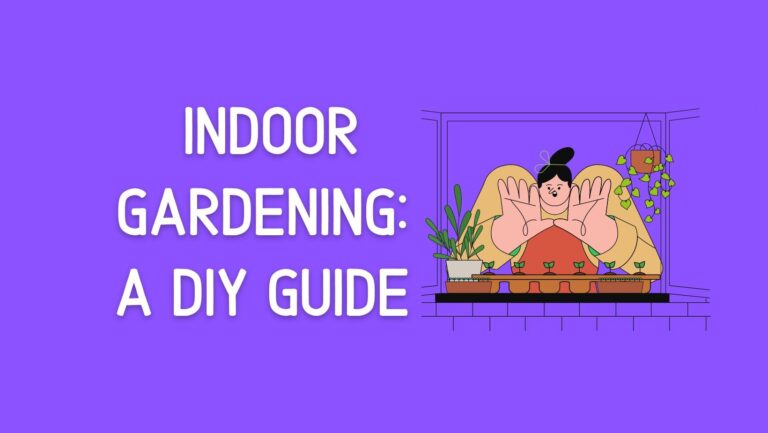 Indoor Gardening: A DIY Guide In 2022