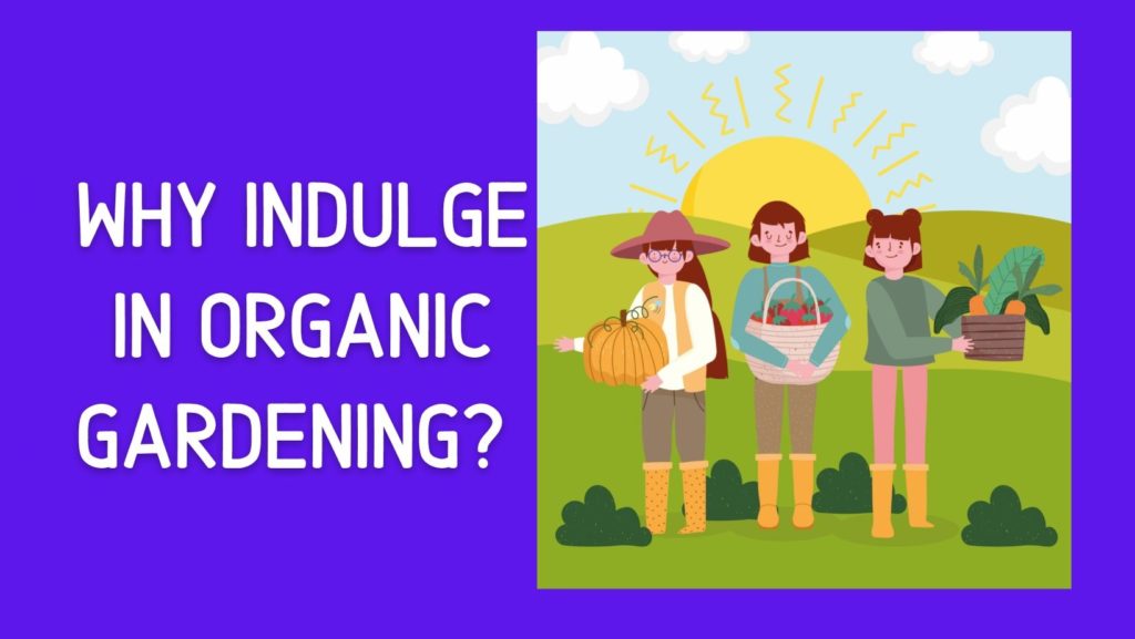 Why garden organically?