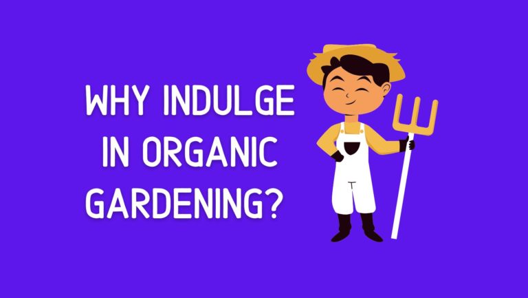 Why Indulge In Organic Gardening? In 2022