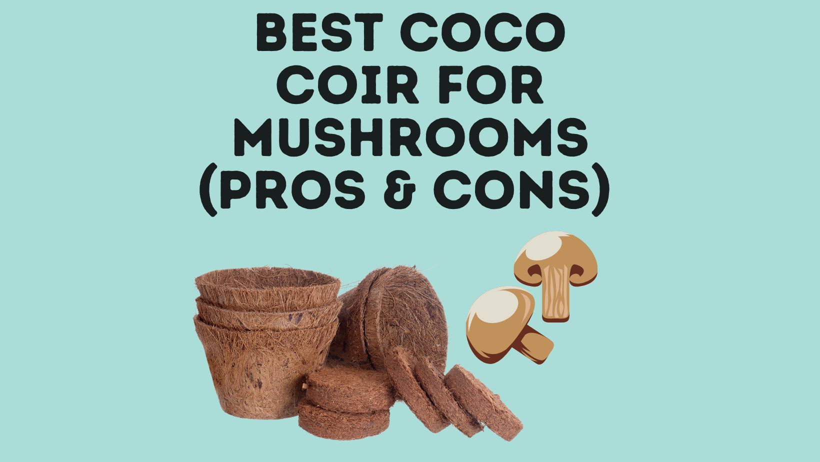 Best Coco Coir For Mushrooms