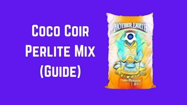 Coco Coir Perlite Mix: Does Coco Coir Need Perlite?
