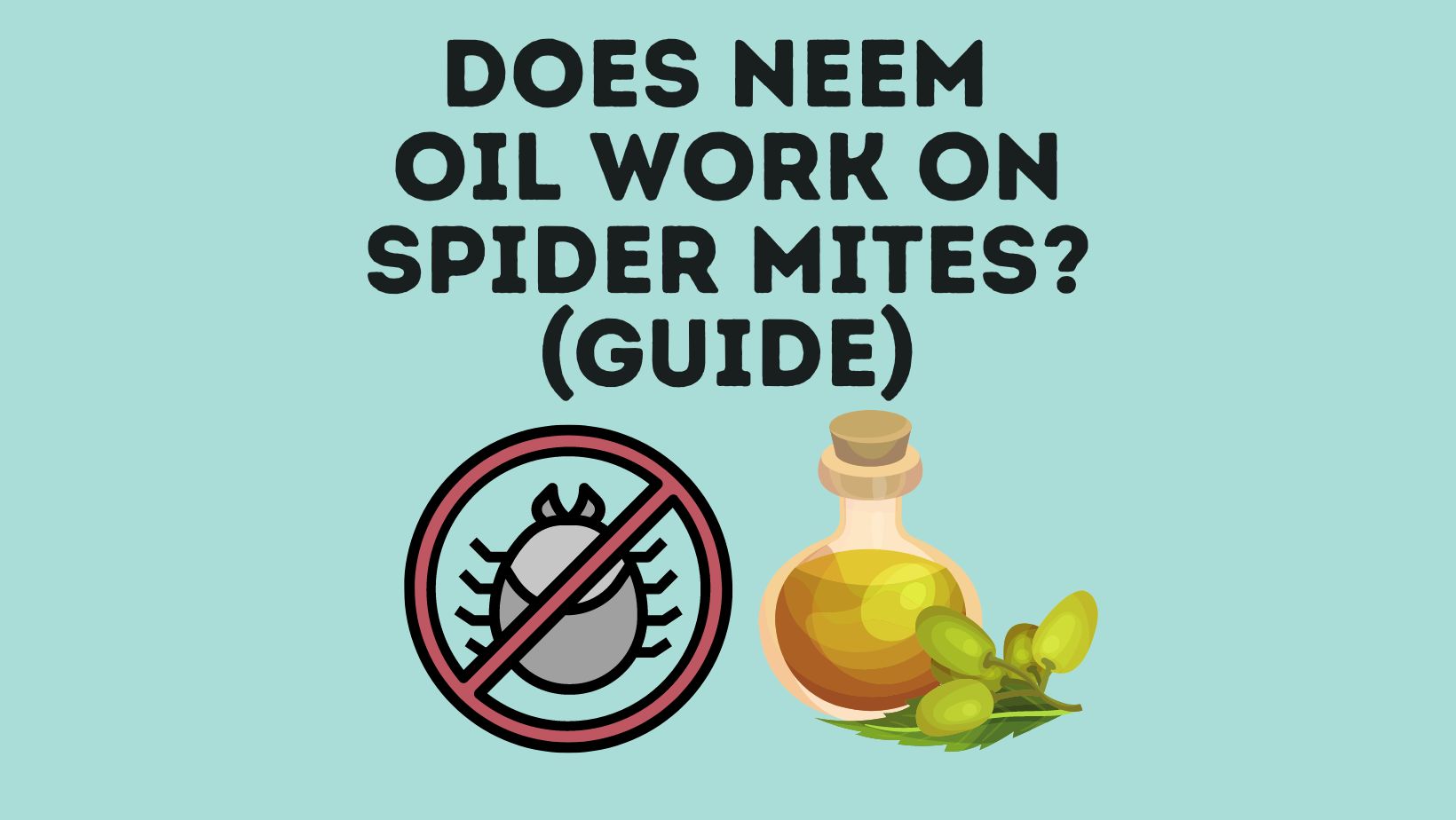 Does Neem Oil Work On Spider Mites