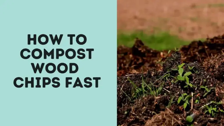 How To Compost Wood Chips Fast