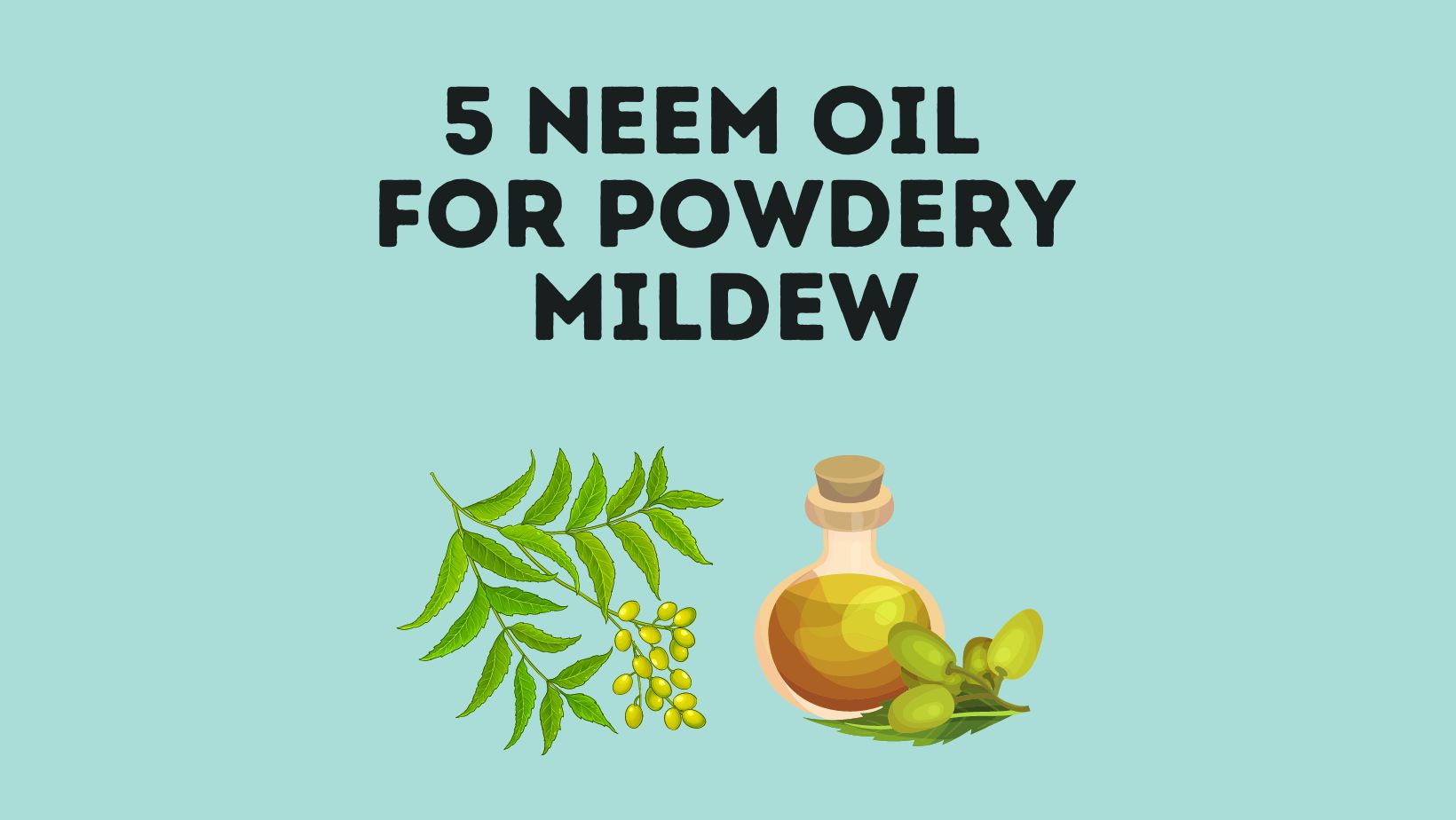 Neem Oil For Powdery Mildew