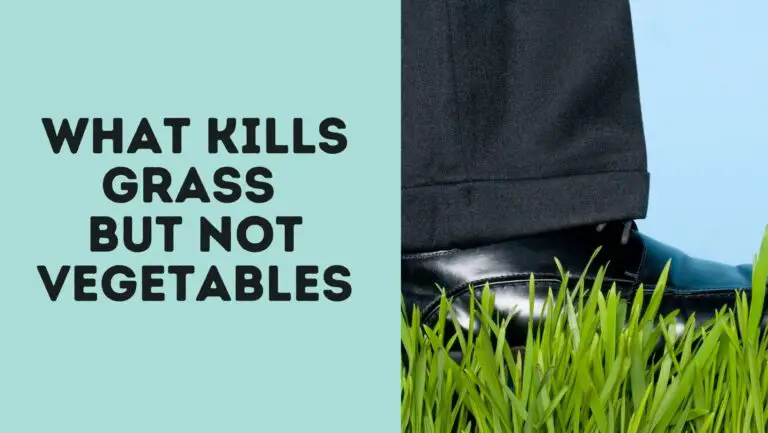 What Kills Grass But Not Vegetables?