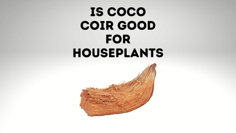 Is Coco Coir Good For Houseplants?