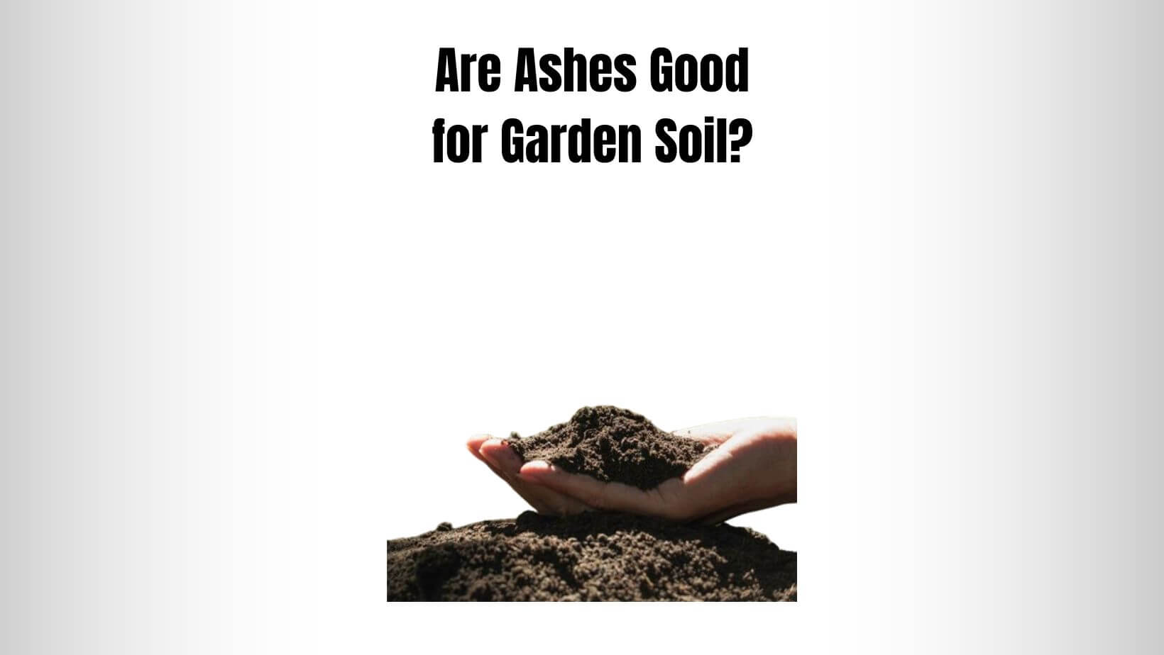 Are Ashes Good for Garden Soil?
